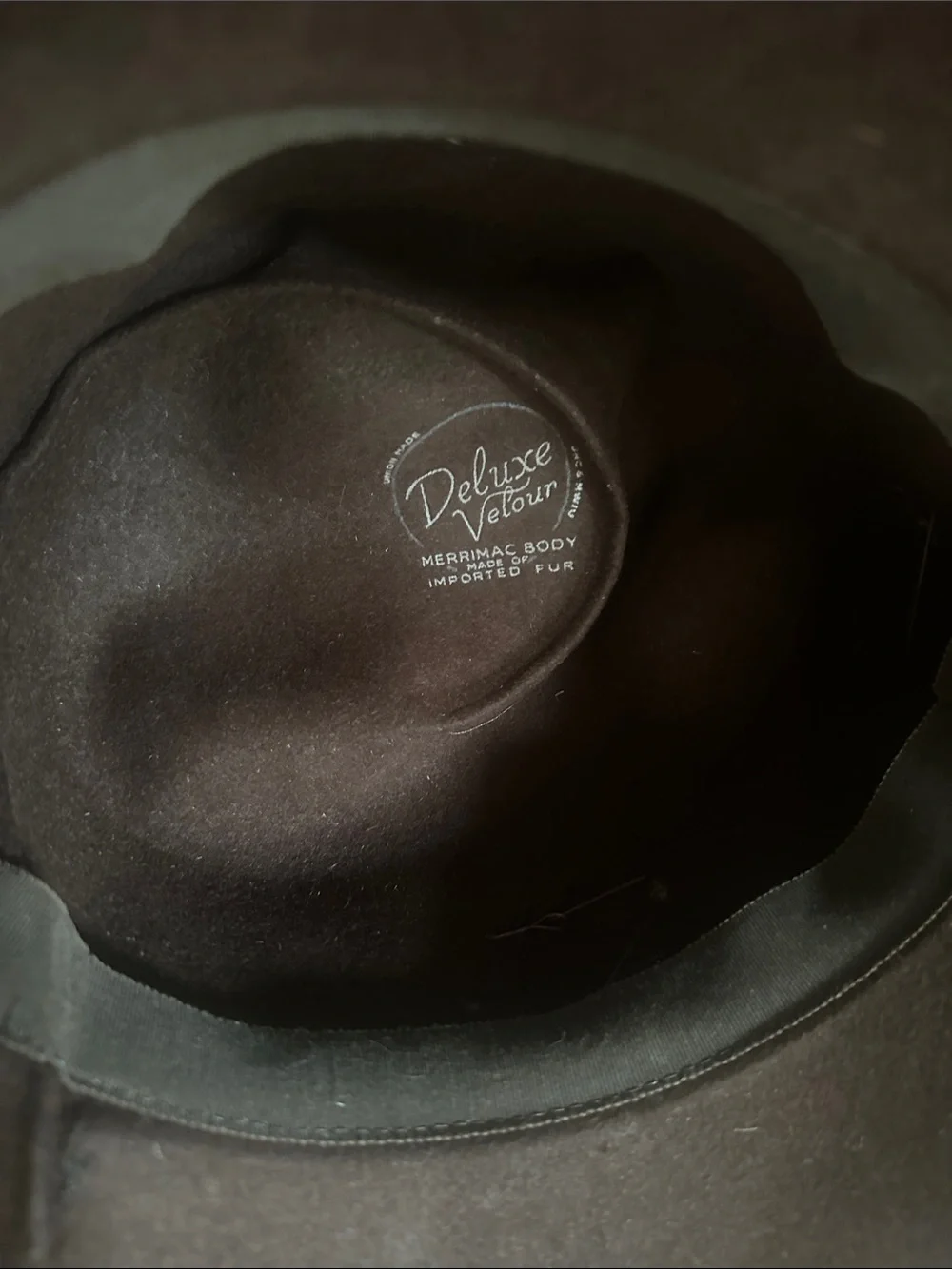 Dark Brown Felt Fedora Hat with Decorative Feathers